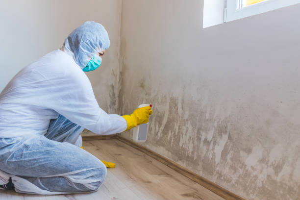 Best Residential Mold Removal  in Crandall, TX