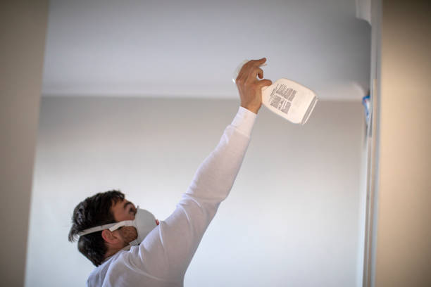 Best Black Mold Removal  in Crandall, TX