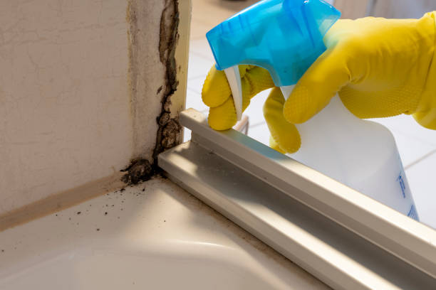 Best Mold Removal Specialists  in Crandall, TX