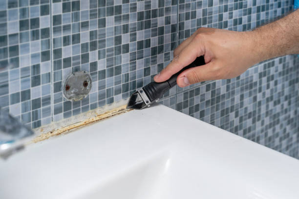 Best Residential Mold Removal  in Crandall, TX
