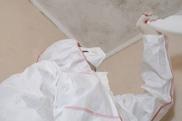 Mold Removal and Inspection in Crandall, TX