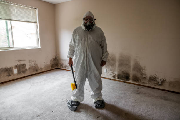 Best Mold Removal Company Near Me  in Crandall, TX